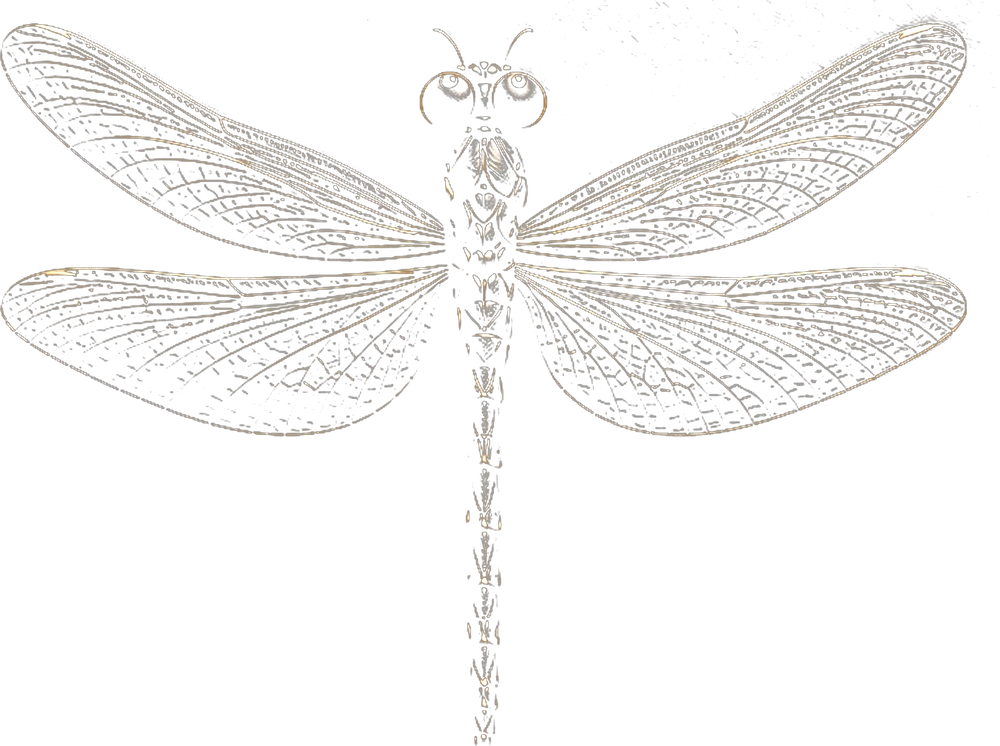 Gold dragonfly emblem